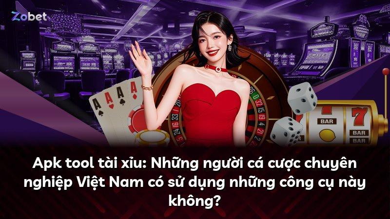 Apk tool tài xỉu: Những người cá cược chuyên nghiệp Việt Nam có sử dụng những công cụ này không?