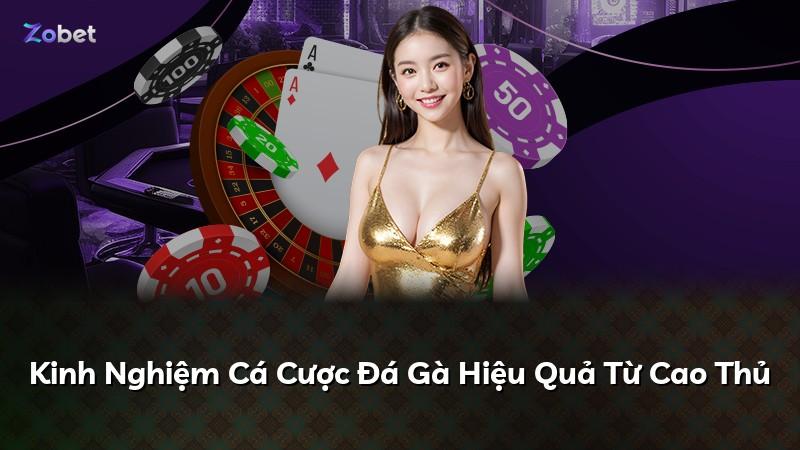Kinh Nghiệm Cá Cược Đá Gà Hiệu Quả Từ Cao Thủ