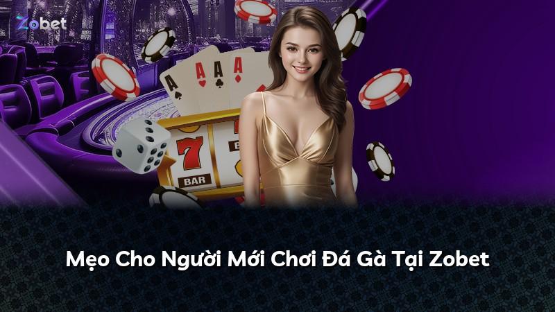 Mẹo Cho Người Mới Chơi Đá Gà Tại Zobet