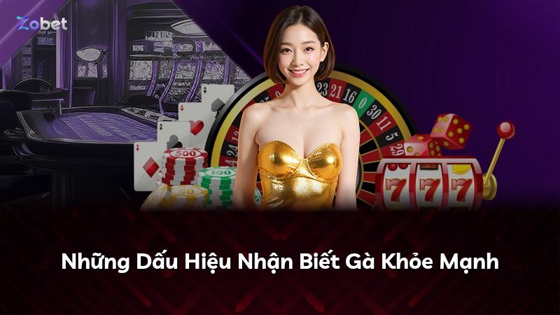 Những Dấu Hiệu Nhận Biết Gà Khỏe Mạnh