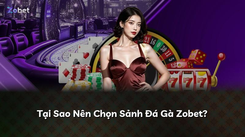 Tại Sao Nên Chọn Sảnh Đá Gà Zobet?